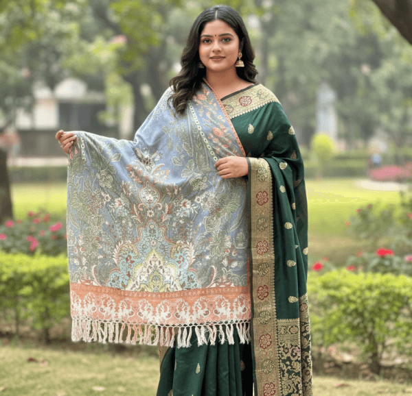S018 Digital Print Woolen Shawl - S018