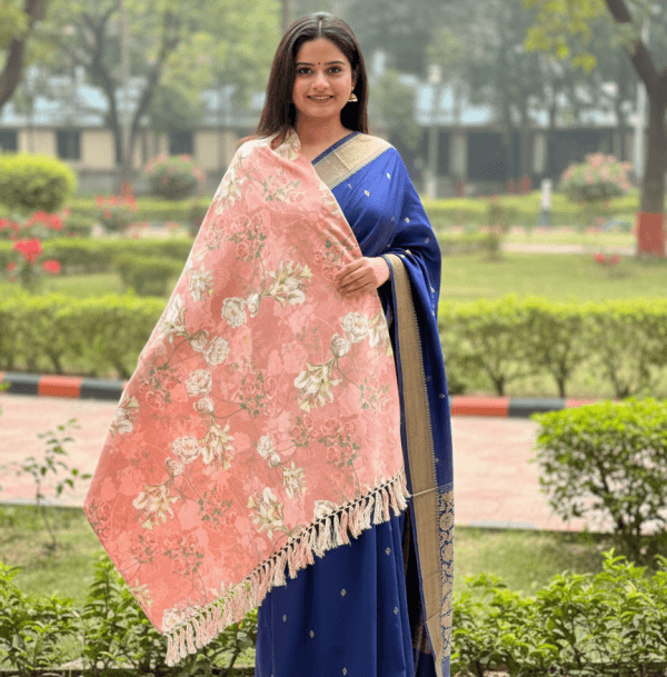 S019 Digital Print Woolen Shawl - S019