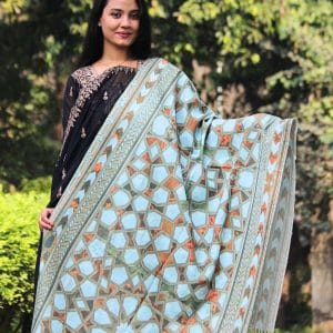 S036 (A) Digital Print Woolen Shawl - S036