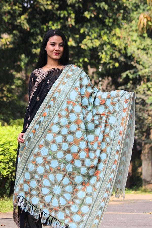 Digital Print Woolen Shawl - S036