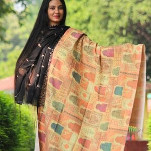 WEB_S027 (A) Digital Print Woolen Shawl - S027