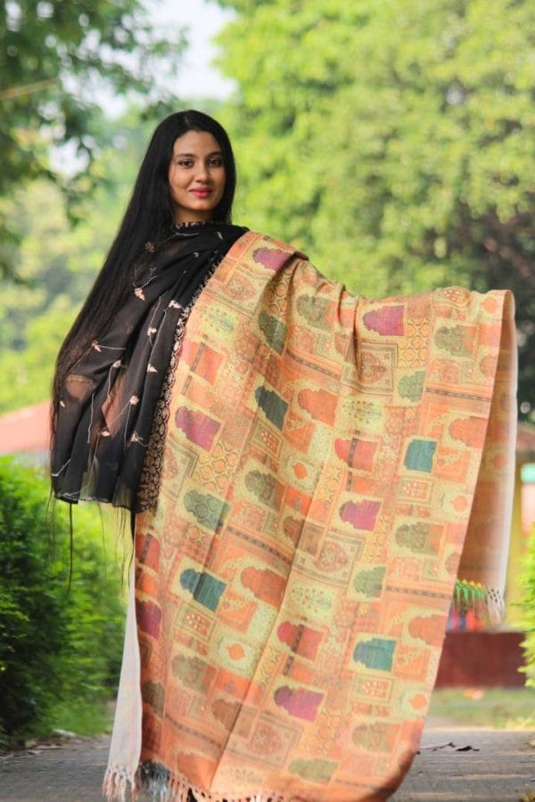 WEB_S027 (A) Digital Print Woolen Shawl - S027